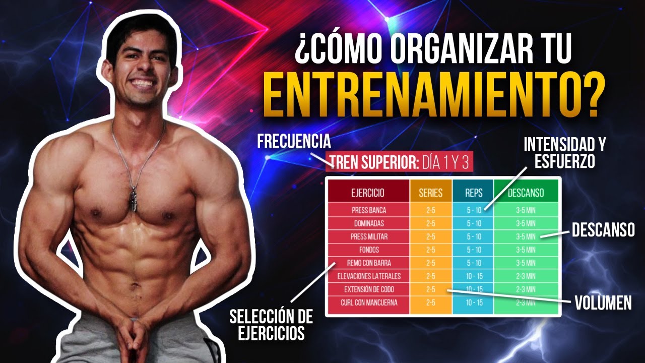 que trabajar cada dia en el gym